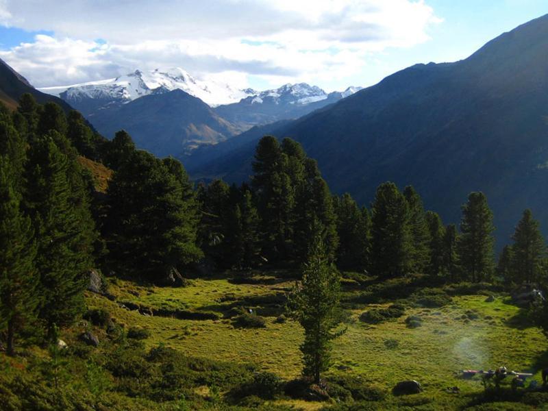 Plattnerhof Kaunertal Bagian luar foto