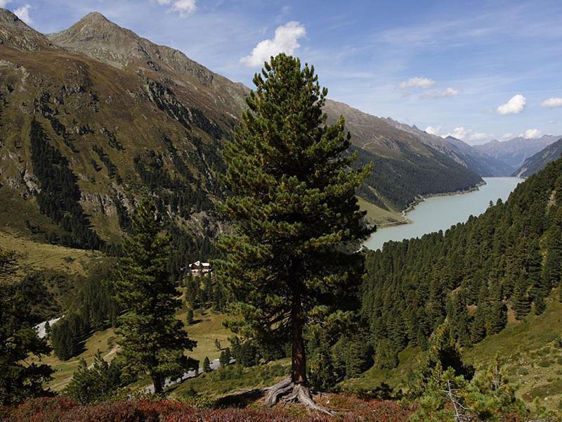 Plattnerhof Kaunertal Bagian luar foto