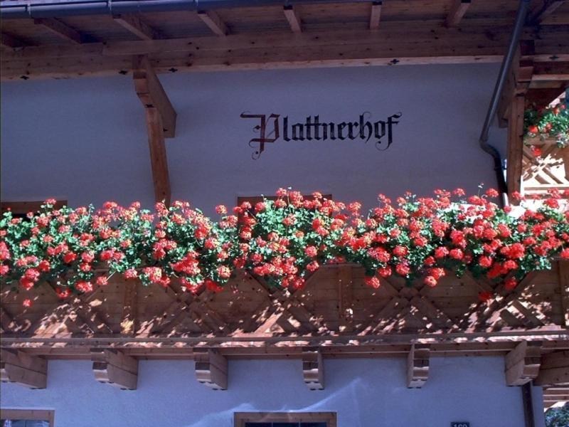 Plattnerhof Kaunertal Ruang foto